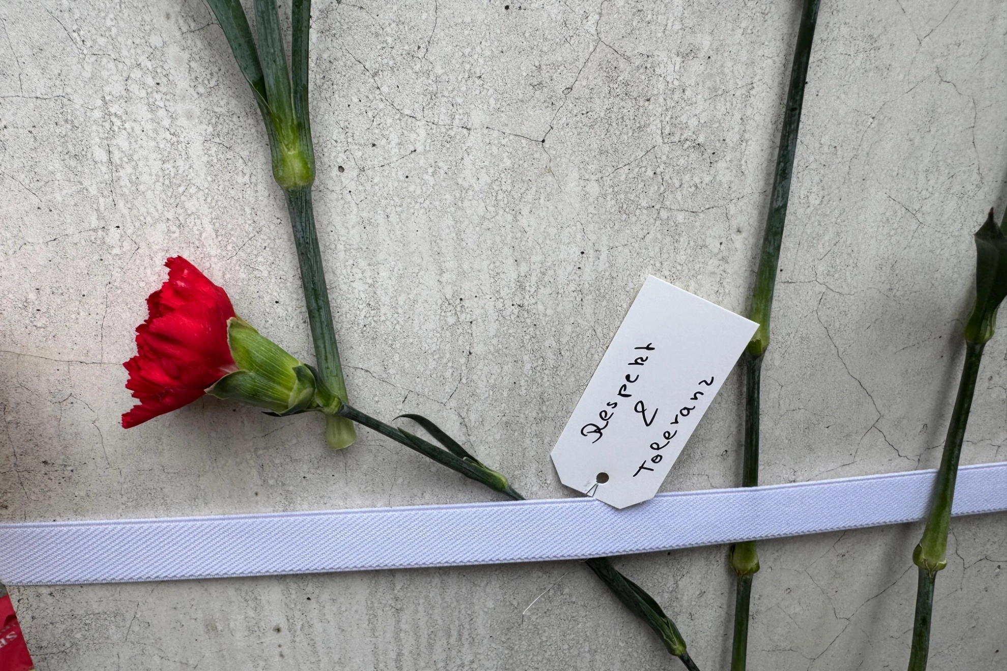 Antikriegstag Wunsch – Respekt und Toleranz