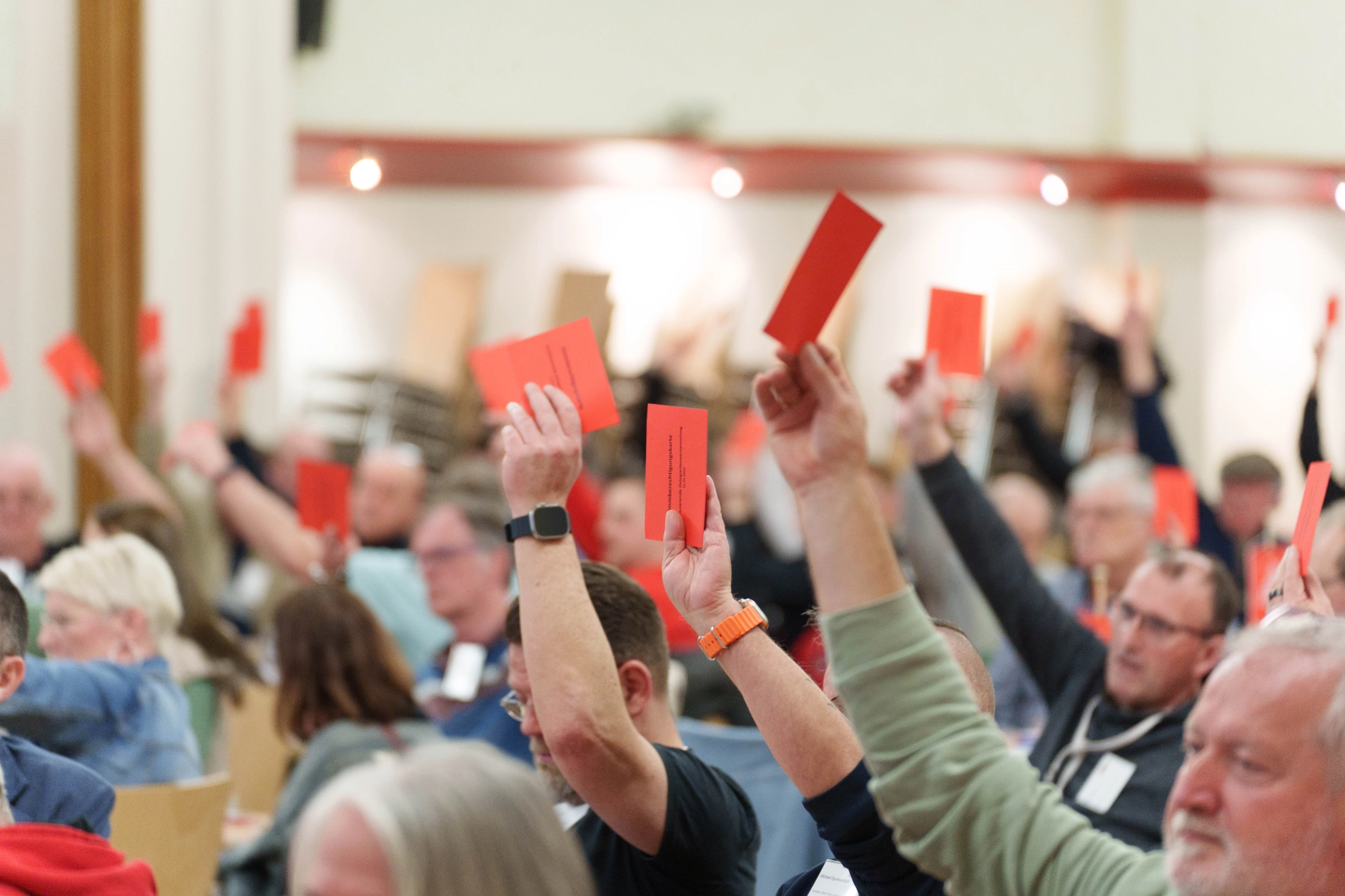 2024-konstituierende Delegiertenversammlung Abstimmung